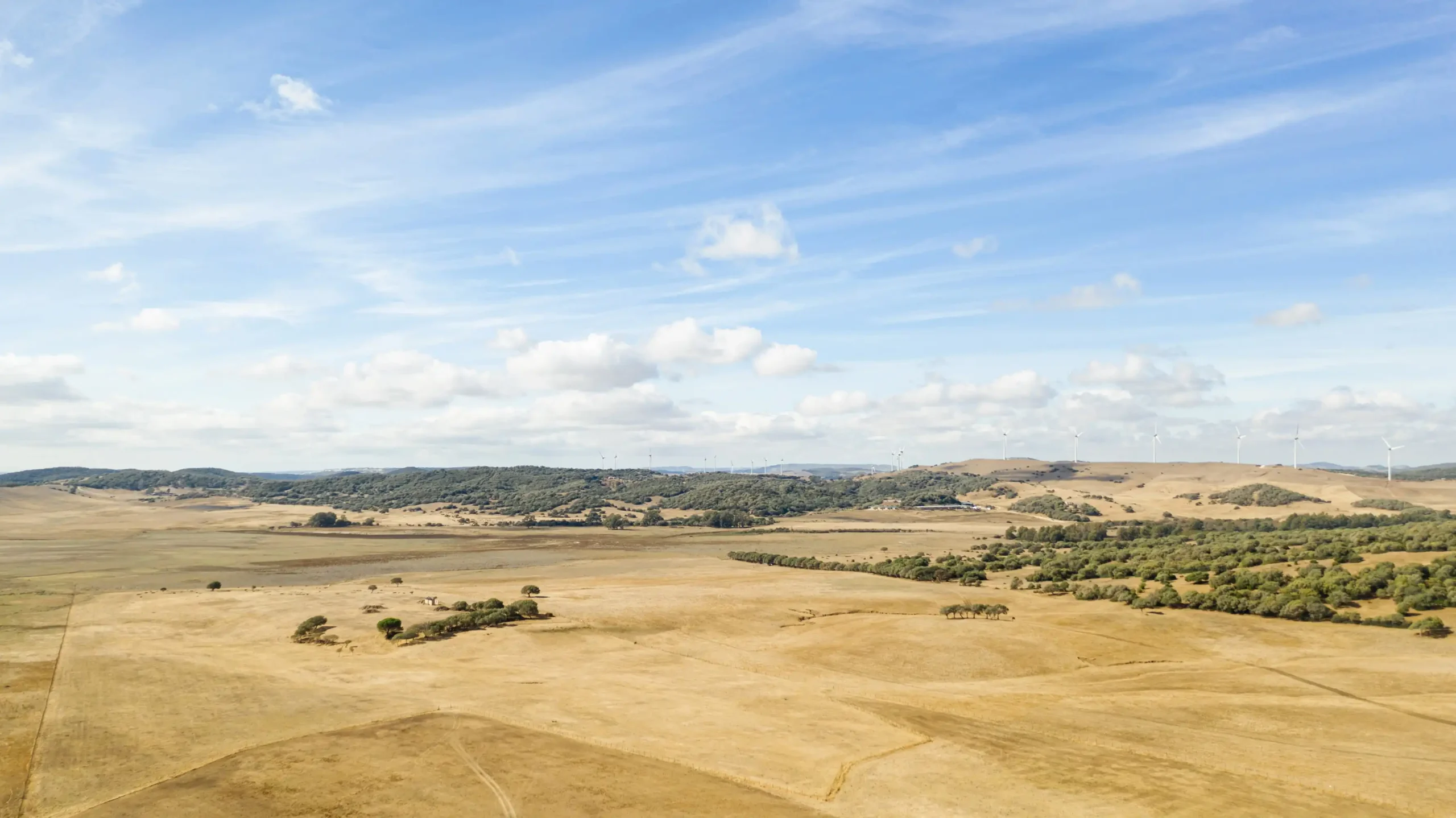 amazing-landscape-with-dry-land (Web H)