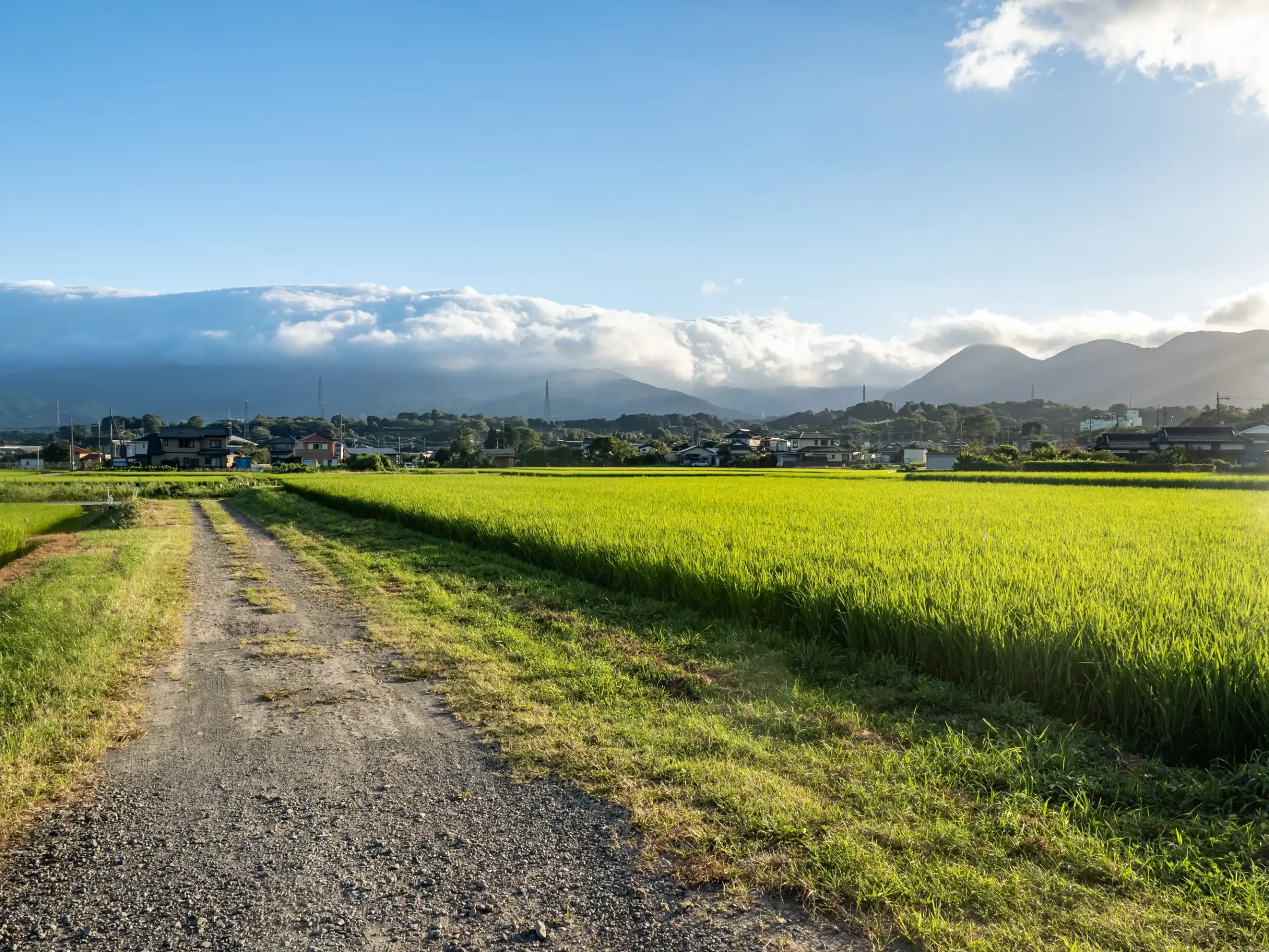 beautiful-farmland-matsuda-kanagawa-japan (Web H)