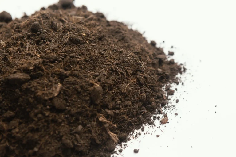 close-up-natural-soil (Web H)