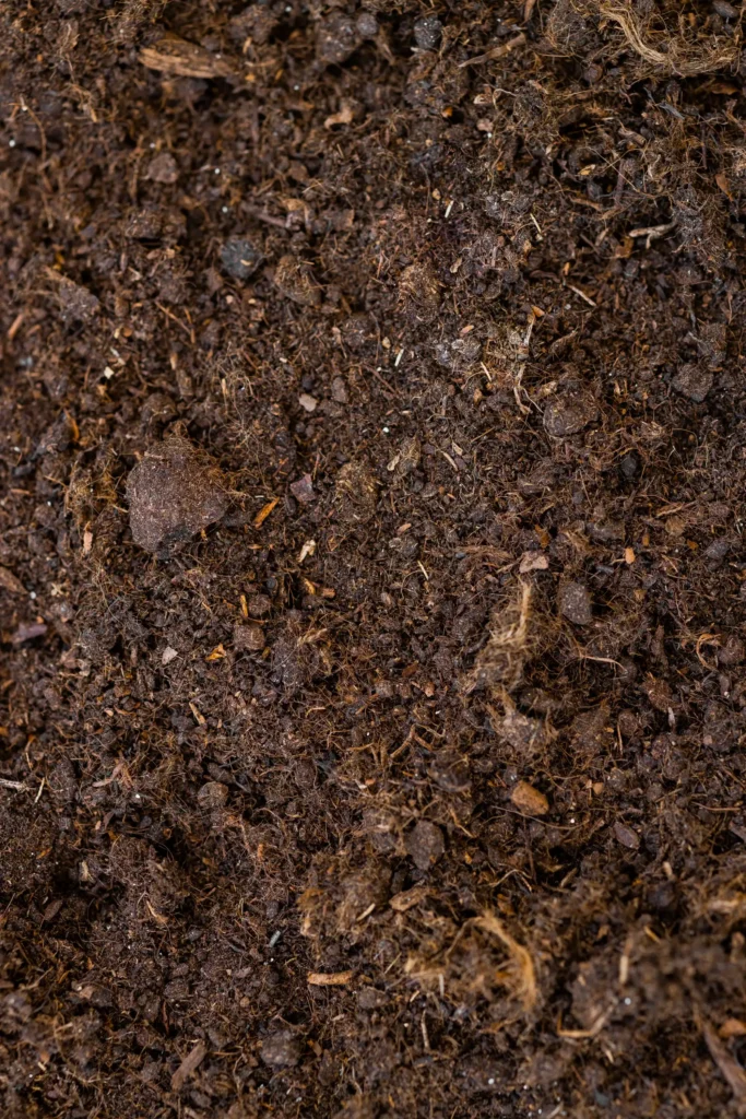 พีทมอส (Peat Moss) ความสำคัญ, การใช้งาน และประโยชน์ในเกษตรกรรม