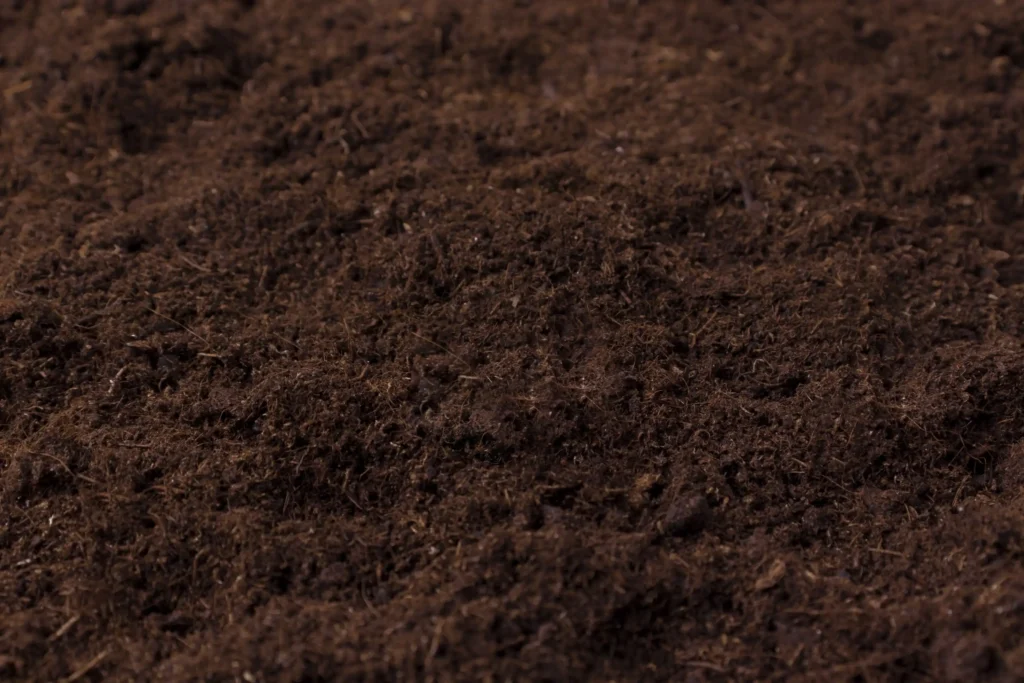 พีทมอส (Peat Moss) ความสำคัญ, การใช้งาน และประโยชน์ในเกษตรกรรม