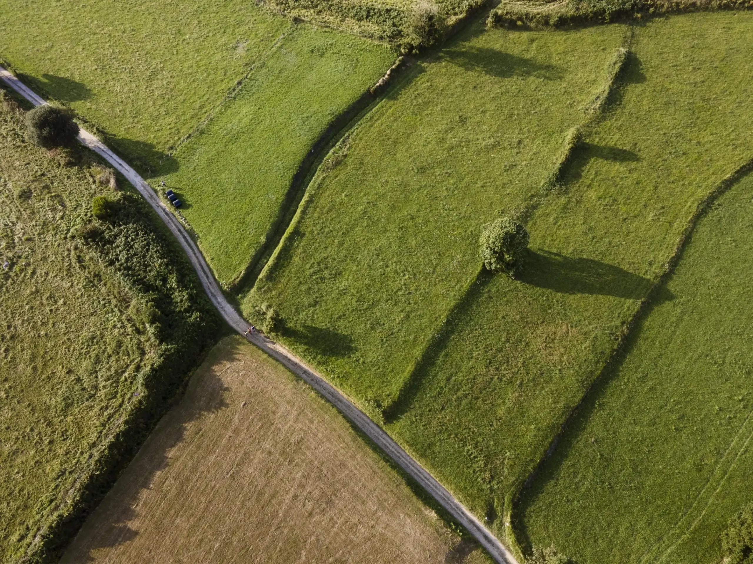 top-view-peaceful-green-land (Web H)